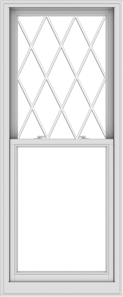 WDMA 30x72 (29.5 x 71.5 inch)  Aluminum Single Double Hung Window with Diamond Grids