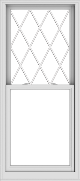 WDMA 32x72 (31.5 x 71.5 inch)  Aluminum Single Double Hung Window with Diamond Grids