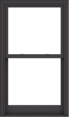 WDMA 36x61 (35.5 x 60.5 inch)  Aluminum Single Hung Double Hung Window without Grids-3