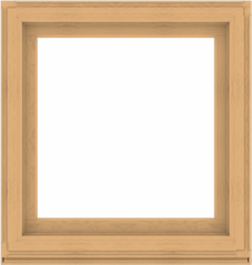 WDMA 38x40 (37.5 x 39.5 inch) Composite Wood Aluminum-Clad Picture Window without Grids-3