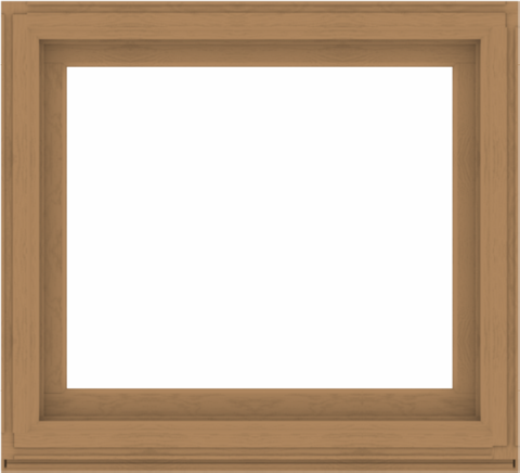 WDMA 44x40 (43.5 x 39.5 inch) Composite Wood Aluminum-Clad Picture Window without Grids-1