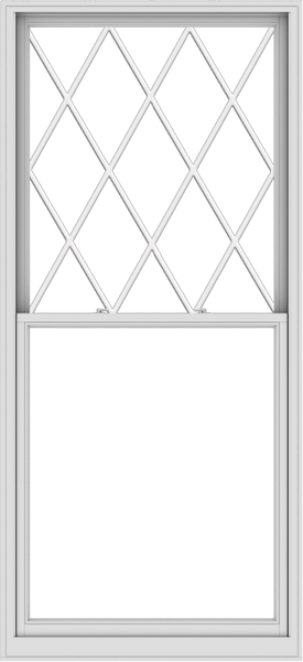 WDMA 44x96 (43.5 x 95.5 inch)  Aluminum Single Double Hung Window with Diamond Grids