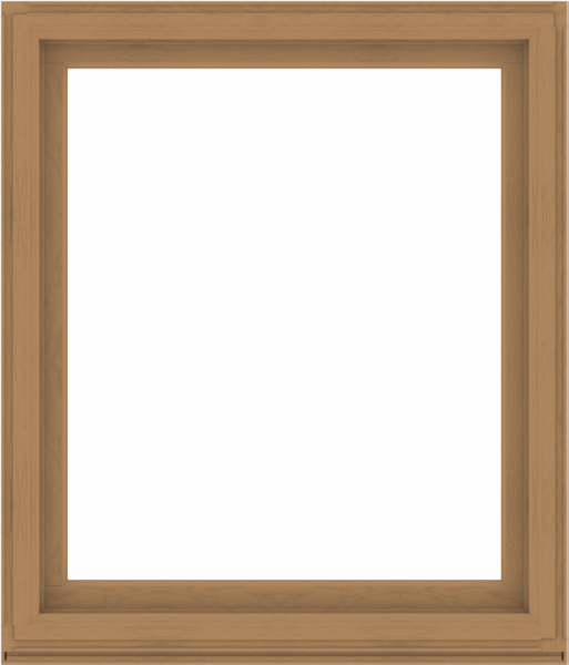 WDMA 48x56 (47.5 x 55.5 inch) Composite Wood Aluminum-Clad Picture Window without Grids-1