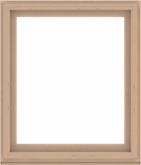 WDMA 48x56 (47.5 x 55.5 inch) Composite Wood Aluminum-Clad Picture Window without Grids-2