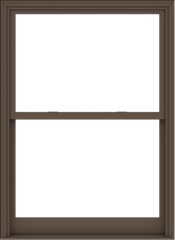 WDMA 48x66 (47.5 x 65.5 inch)  Aluminum Single Hung Double Hung Window without Grids-4