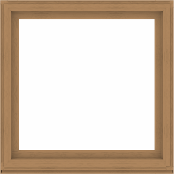 WDMA 52x52 (51.5 x 51.5 inch) Composite Wood Aluminum-Clad Picture Window without Grids-1