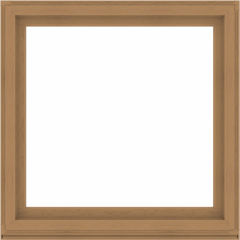 WDMA 52x52 (51.5 x 51.5 inch) Composite Wood Aluminum-Clad Picture Window without Grids-1