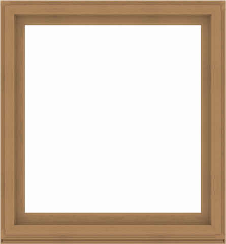 WDMA 52x56 (51.5 x 55.5 inch) Composite Wood Aluminum-Clad Picture Window without Grids-1