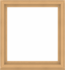 WDMA 52x56 (51.5 x 55.5 inch) Composite Wood Aluminum-Clad Picture Window without Grids-3