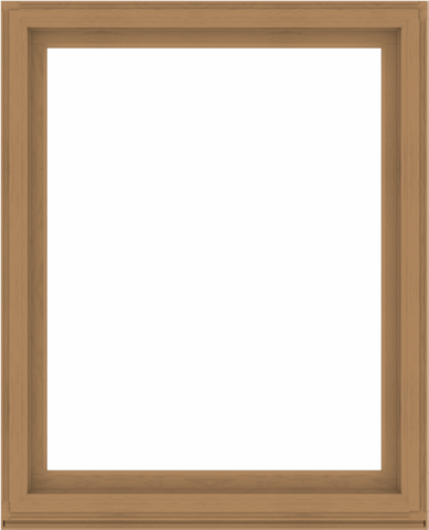 WDMA 52x64 (51.5 x 63.5 inch) Composite Wood Aluminum-Clad Picture Window without Grids-1