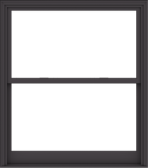 WDMA 54x61 (53.5 x 60.5 inch)  Aluminum Single Hung Double Hung Window without Grids-3