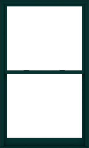 WDMA 54x90 (53.5 x 89.5 inch)  Aluminum Single Hung Double Hung Window without Grids-5