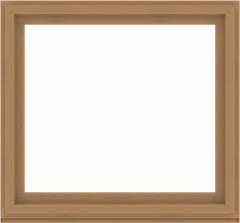 WDMA 56x52 (55.5 x 51.5 inch) Composite Wood Aluminum-Clad Picture Window without Grids-1