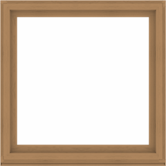 WDMA 56x56 (55.5 x 55.5 inch) Composite Wood Aluminum-Clad Picture Window without Grids-1