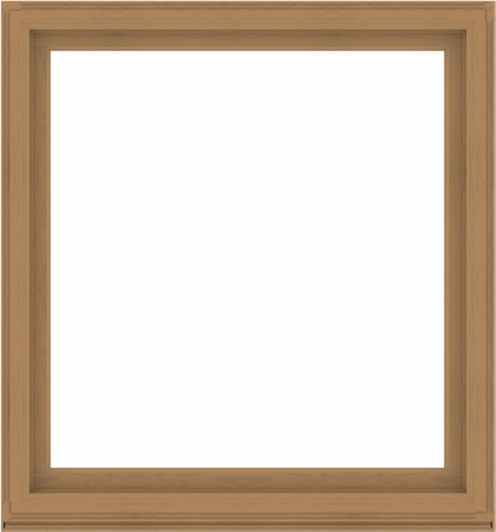 WDMA 56x60 (55.5 x 59.5 inch) Composite Wood Aluminum-Clad Picture Window without Grids-1