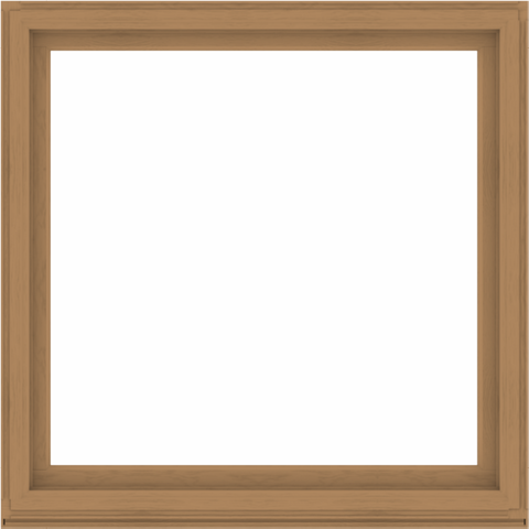 WDMA 60x60 (59.5 x 59.5 inch) Composite Wood Aluminum-Clad Picture Window without Grids-1