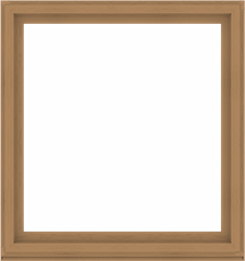 WDMA 60x64 (59.5 x 63.5 inch) Composite Wood Aluminum-Clad Picture Window without Grids-1