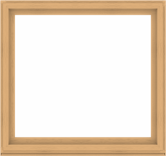 WDMA 64x60 (63.5 x 59.5 inch) Composite Wood Aluminum-Clad Picture Window without Grids-3