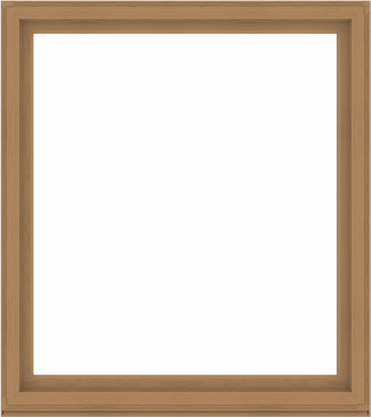 WDMA 64x72 (63.5 x 71.5 inch) Composite Wood Aluminum-Clad Picture Window without Grids-1