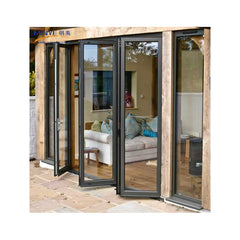 China Top Brand Aluminum Alloy patio folding storm glass door on China WDMA