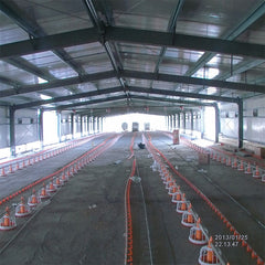 Control shed poultry in Pakistan low cost steel poultry shed 2 floor poultry farm on China WDMA