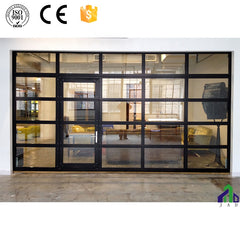 Electric glass garage doors with pedestrian door on China WDMA