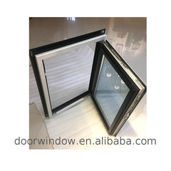 Good Price security single pane casement window options for windows mesh on China WDMA