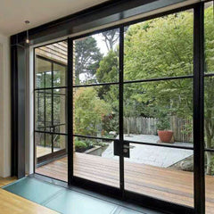 WDMA exterior iron french doors windows steel framed glass doors