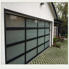 China WDMA Modern electric automatic glass panel steel material sectional garage door