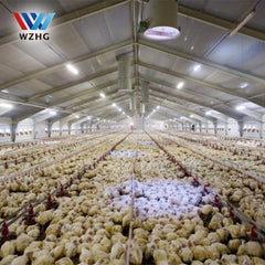 Low cost controlled prefabricated steel poultry farming shed in pakistan on China WDMA