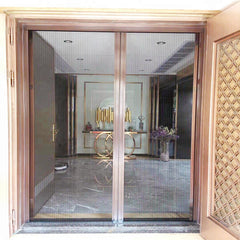 New product Factory customization door window frame electric insect screen door and window on China WDMA