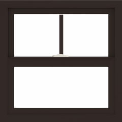 WDMA 24x24 (23.5 x 23.5 inch) Dark Bronze Aluminum Single and Double Hung Window with Fractional Grilles