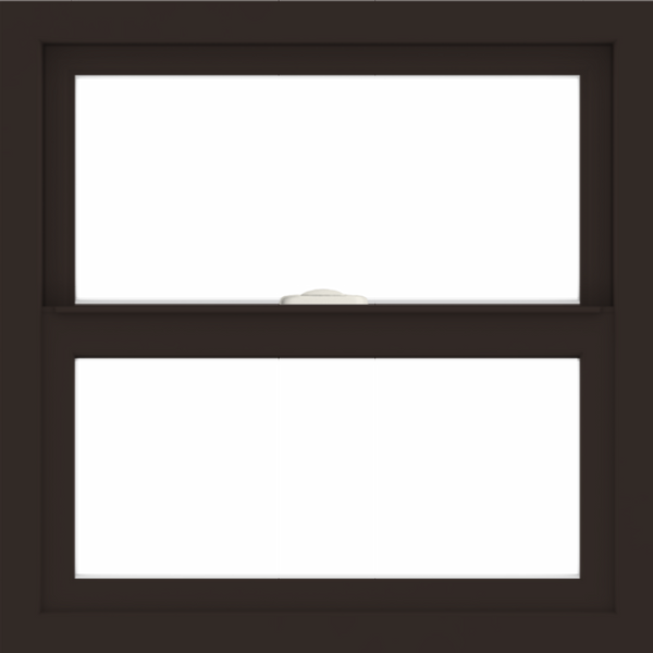 WDMA 24x24 (23.5 x 23.5 inch) Dark Bronze Aluminum Single and Double Hung Window without grids interior