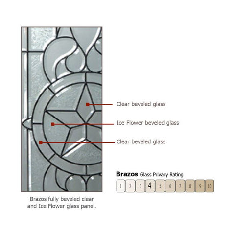 WDMA 36x96 Door (3ft by 8ft) Exterior Mahogany 36in x 96in Arch Lite Brazos Door 3