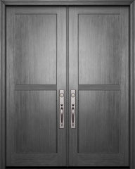 WDMA 72x96 Door (6ft by 8ft) Exterior Fir IMPACT | 96in Double Shaker 2 Panel Door 1