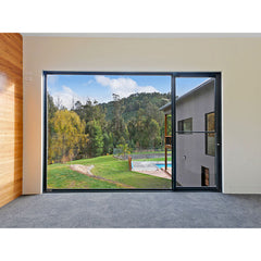 WDMA Sliding Frameless Window