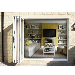 China WDMA Retractable Mosquito Screen Folding bifold Door foldable Door